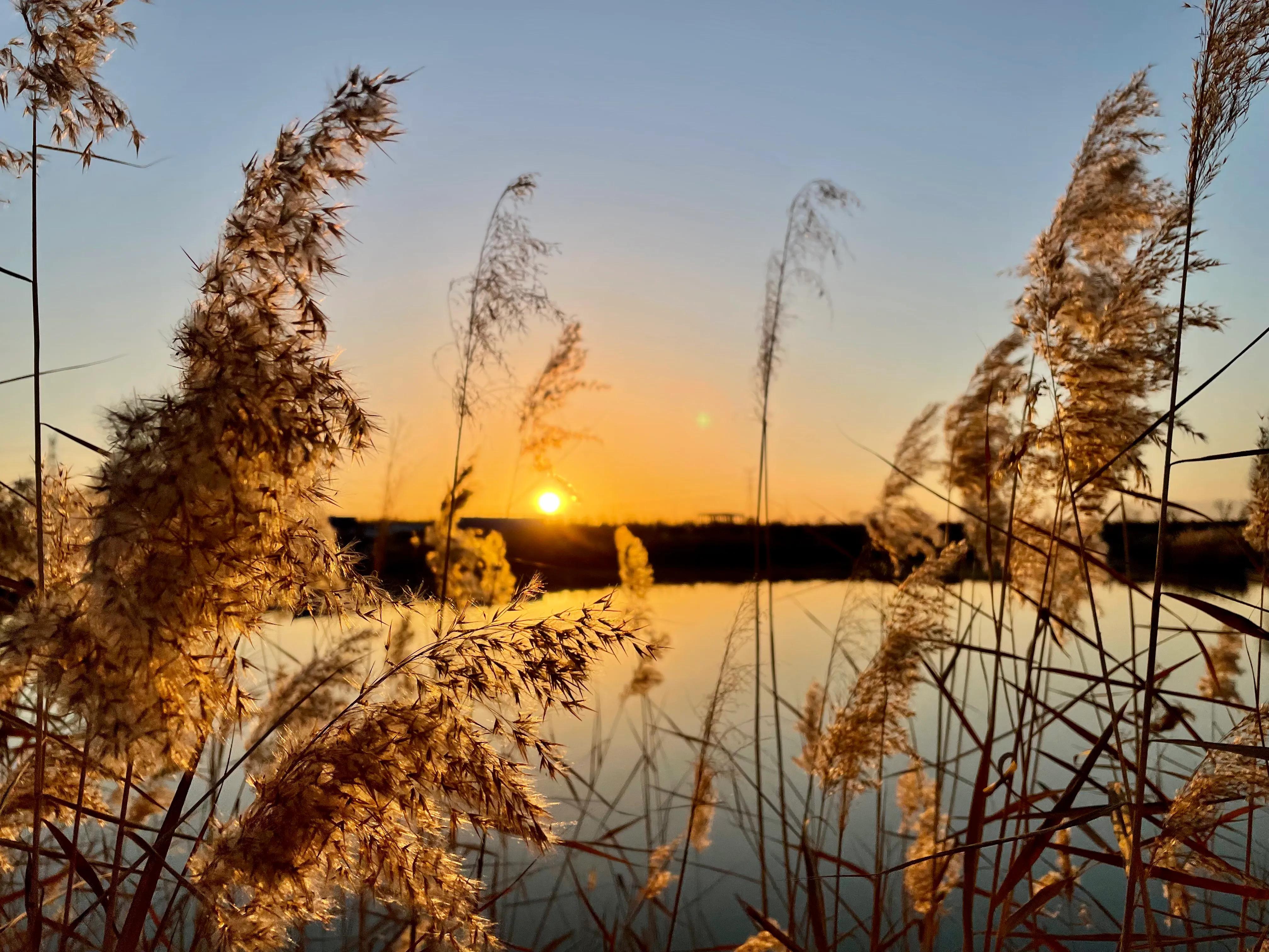 三沙源摩天轮,三沙源冬天玩的地方
