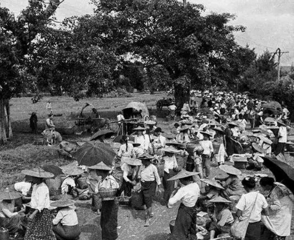 中缅关系云南,云南和缅甸交界的关系