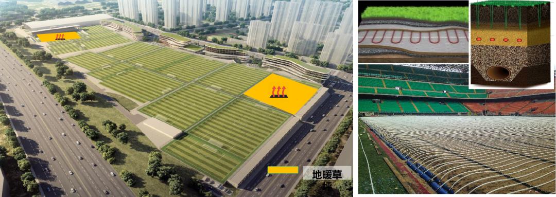 亚洲杯大连球场最新进展,2023年亚洲杯大连专业足球场