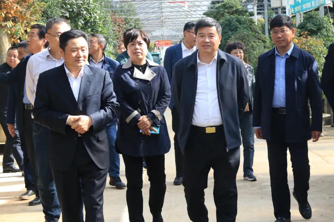 宿迁市沭阳县沭阳国际花木城,沭阳国际花木城布局