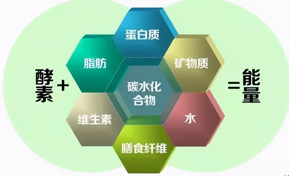 孩子补充蛋白质容易长高,孩子补充蛋白质喝什么奶