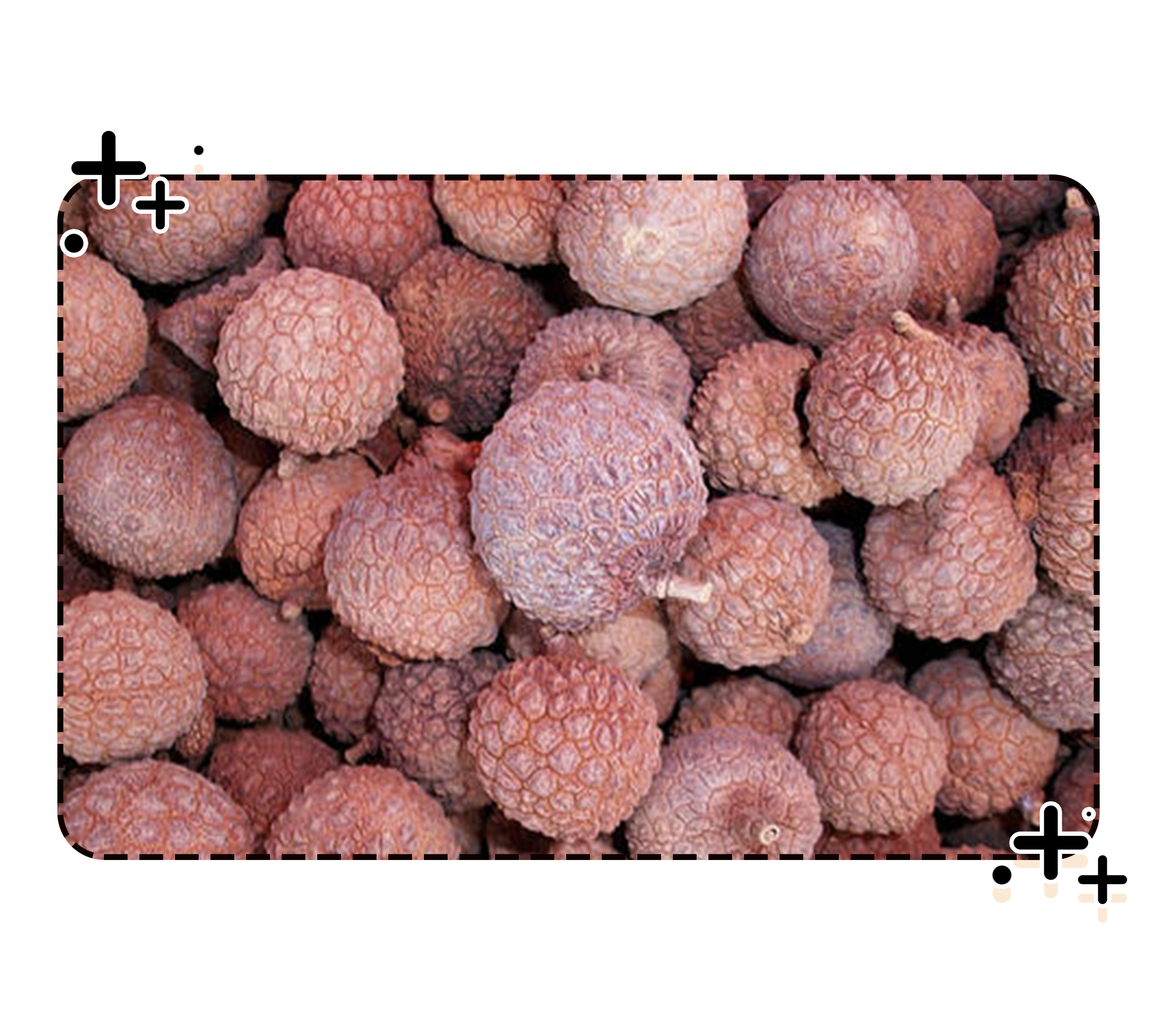 为了阻止荔枝集体自杀，古往今来荔枝控们费尽心机（菲李漫画）