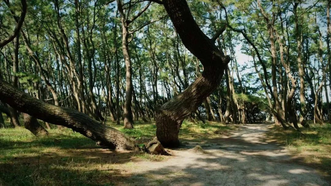 佐贺在日本的地理位置,佐贺市有什么好玩的地方推荐