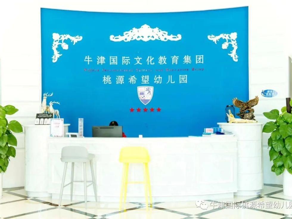 常德桃源红岩小学一年级招生条件,常德桃源文星小学招生条件