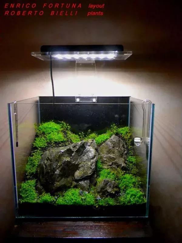 如何打造景观小缸,院子简易水景流水缸制作方法图片