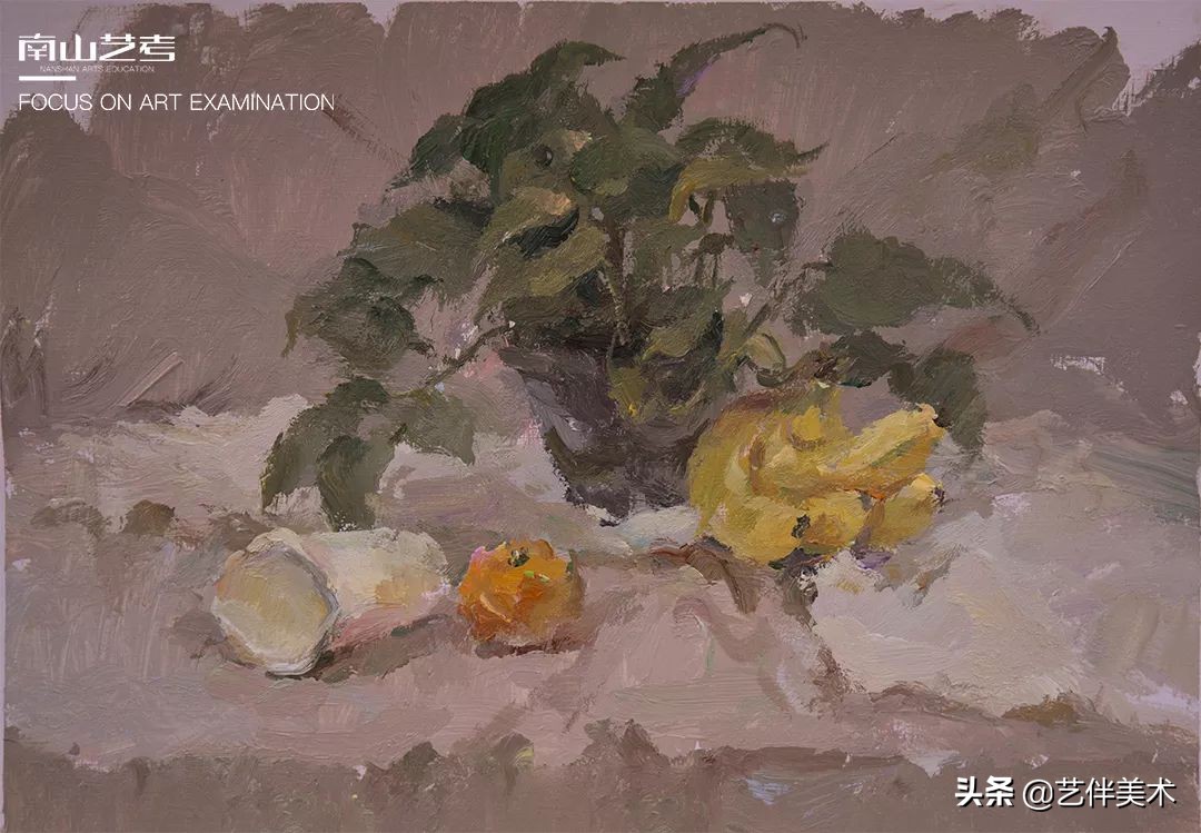 南山艺考画室怎么样收费,西安南山艺考画室官方账号