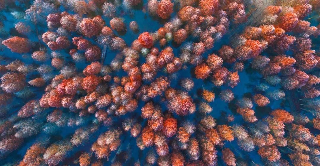 10月下旬徽州摄影推荐,金秋皖南婺源摄影之旅