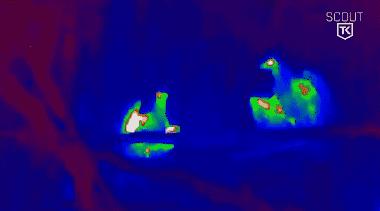 在澳门怎么买到房卡房,亲身经历买二手房