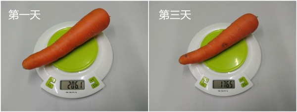 性价比品牌小冰箱,性价比高小冰箱哪个品牌好