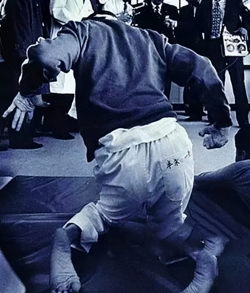 舌尖上的安全感悟,舌尖上的安全全册