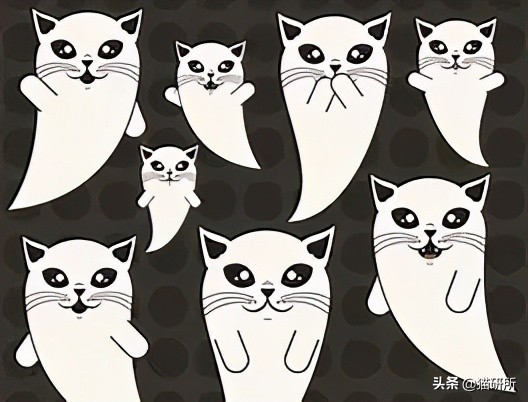 为什么猫咪那么傲娇还有人喜欢,猫咪这么可爱怎么有人舍得伤害