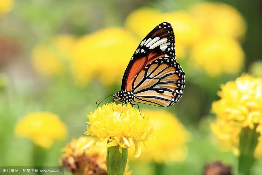 影响人一生的30篇哲理短文,影响人生的一百句名言