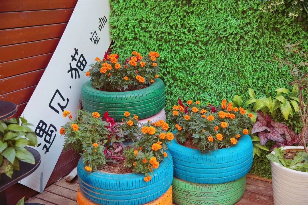 汉阳汉商21世纪购物中心新规划,玩转武汉汉阳