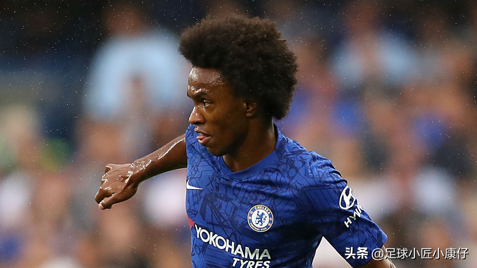 威廉大帝的作品,威廉大帝白兰地