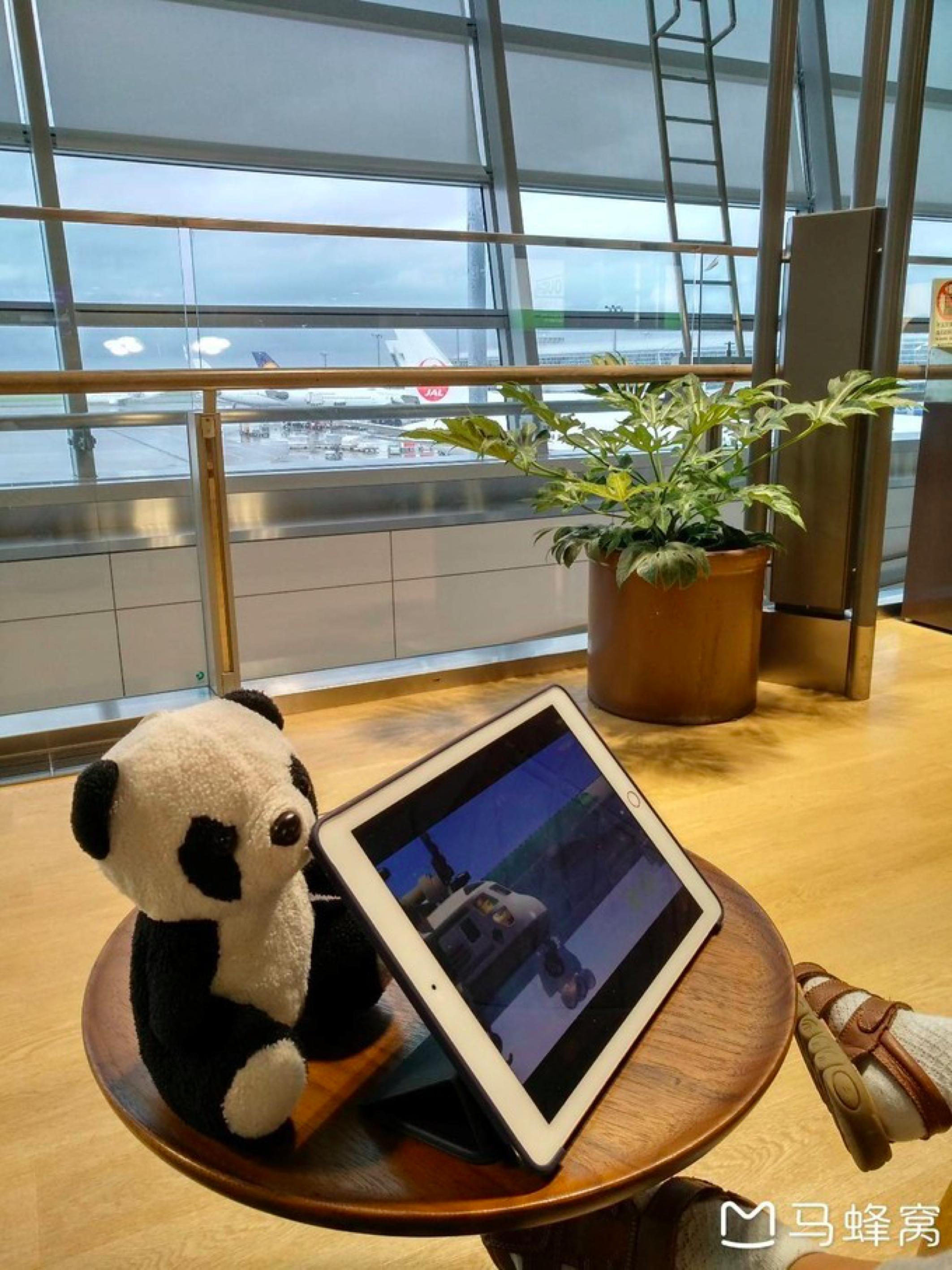 名古屋自由,名古屋3天自由行攻略