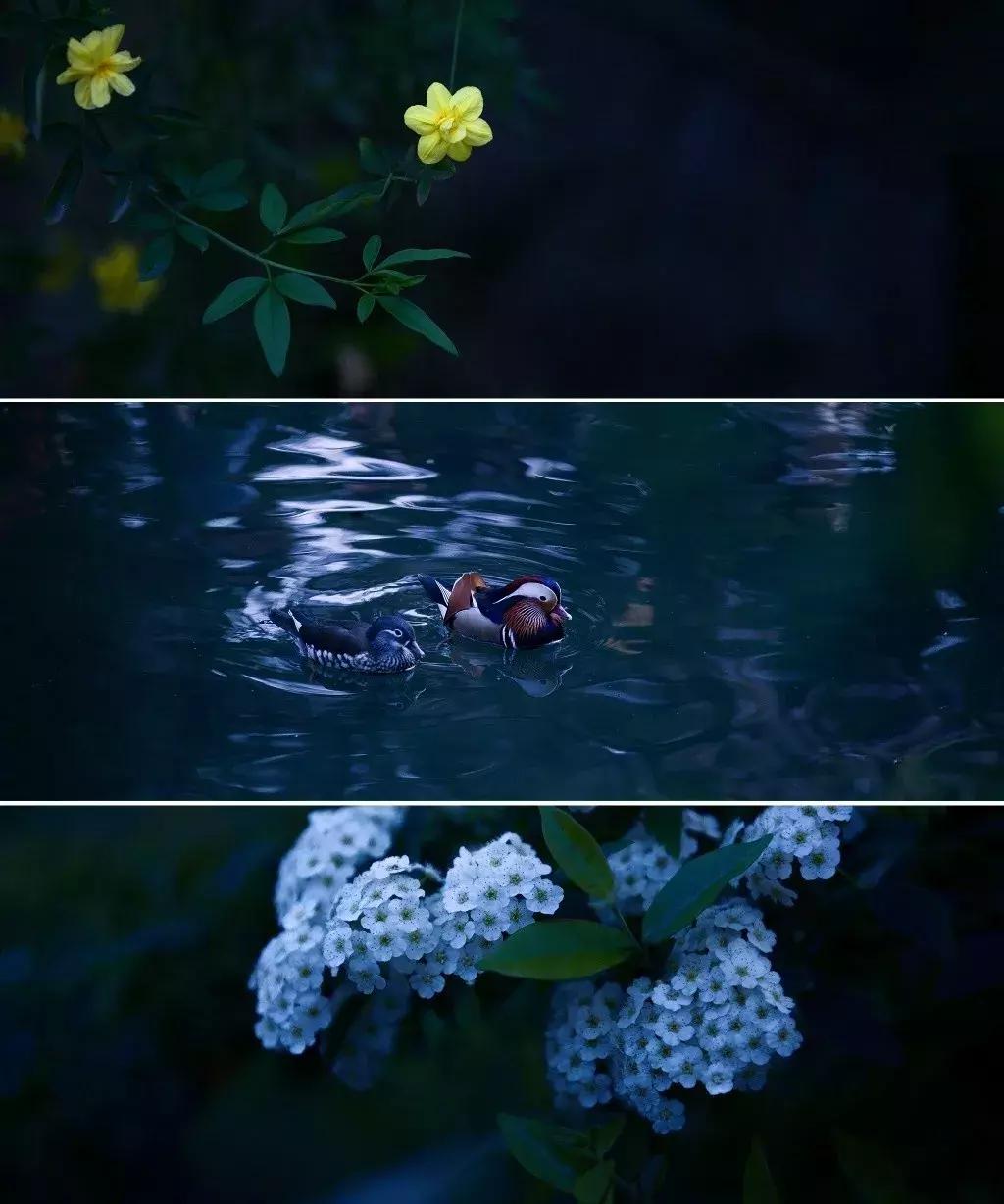 古典意象现代诗,意境深远的现代诗