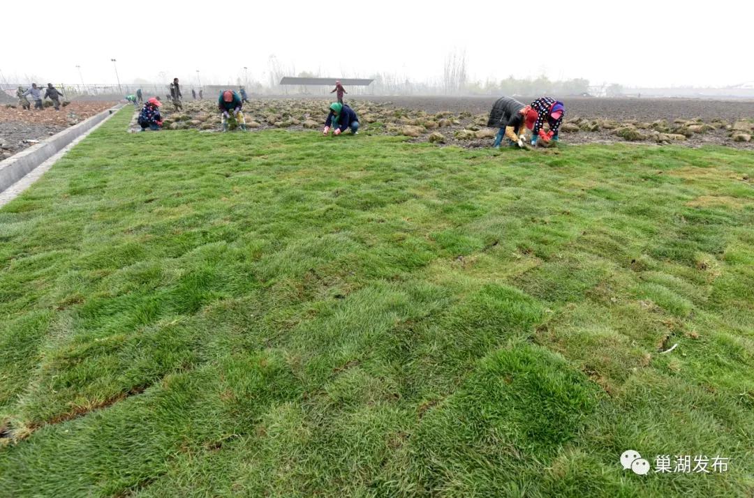 新型足球场草坪,人工草坪足球场建设全过程