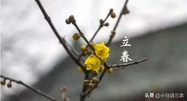 2019年属于双春年吗,2020双春年是哪几天