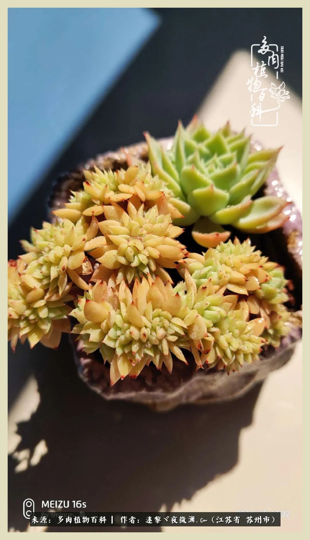 秋尽冬来岁月不居时节如流,岁月不居时节如流水