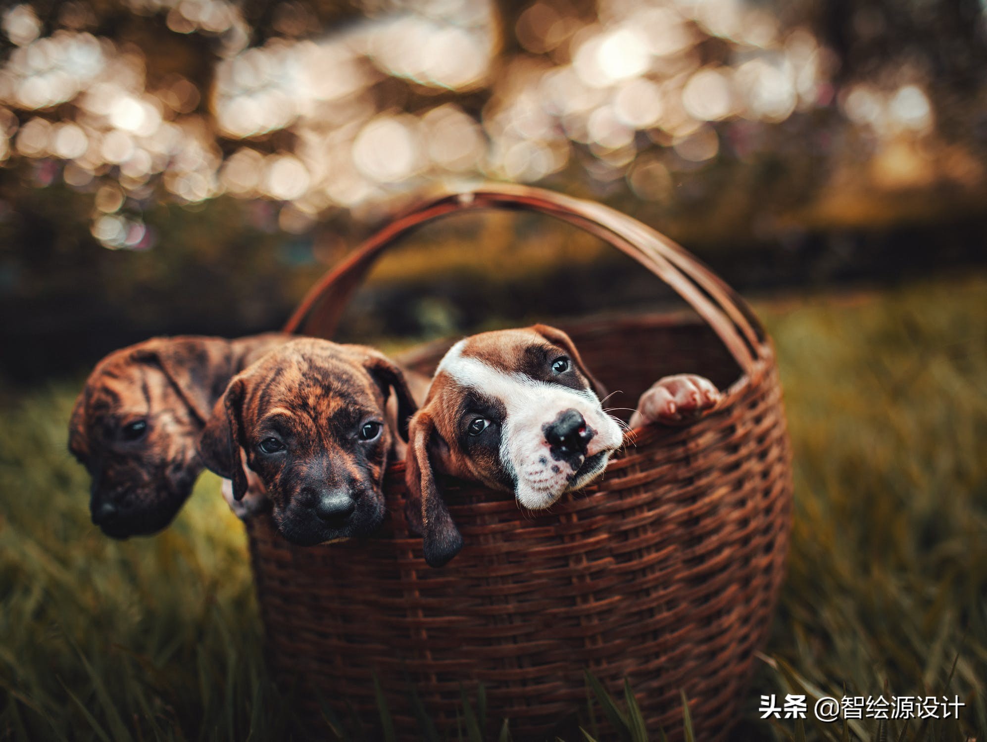 ps安装容易卡死,ps一用修补工具就卡死啥情况