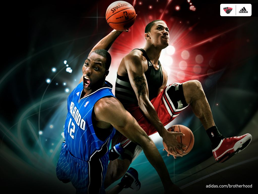 那朵玫瑰，十年后我们终于等到他再次绽放