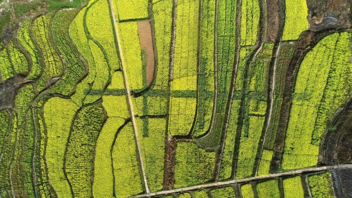 四川通江县十大旅游景点,四川通江县县长