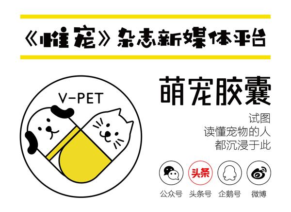 狗产后抽搐症可以喂奶吗,母狗产后一个月突然抽搐怎么治疗