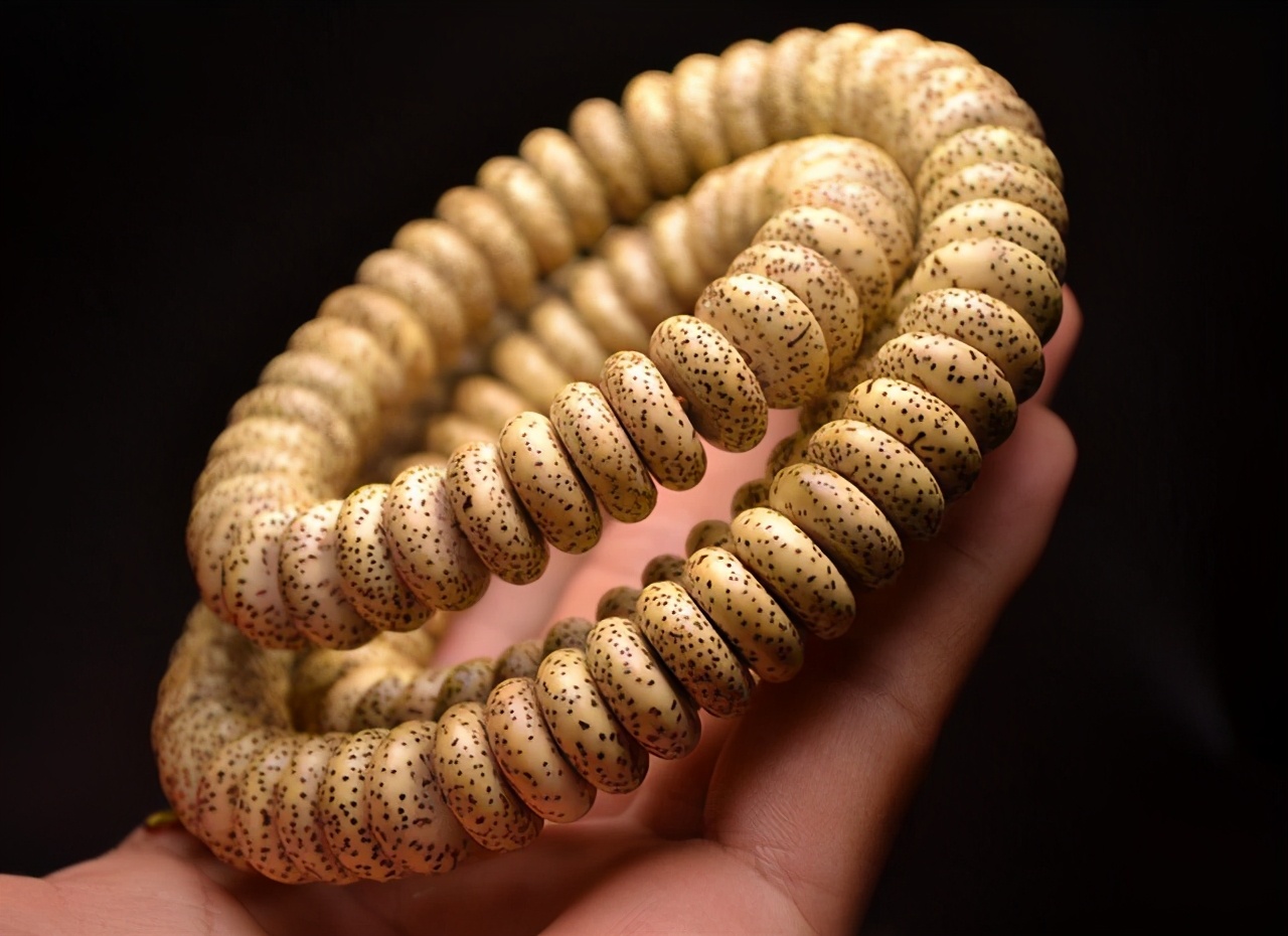 星月菩提最极品后期的品相,星月菩提的终极珠型