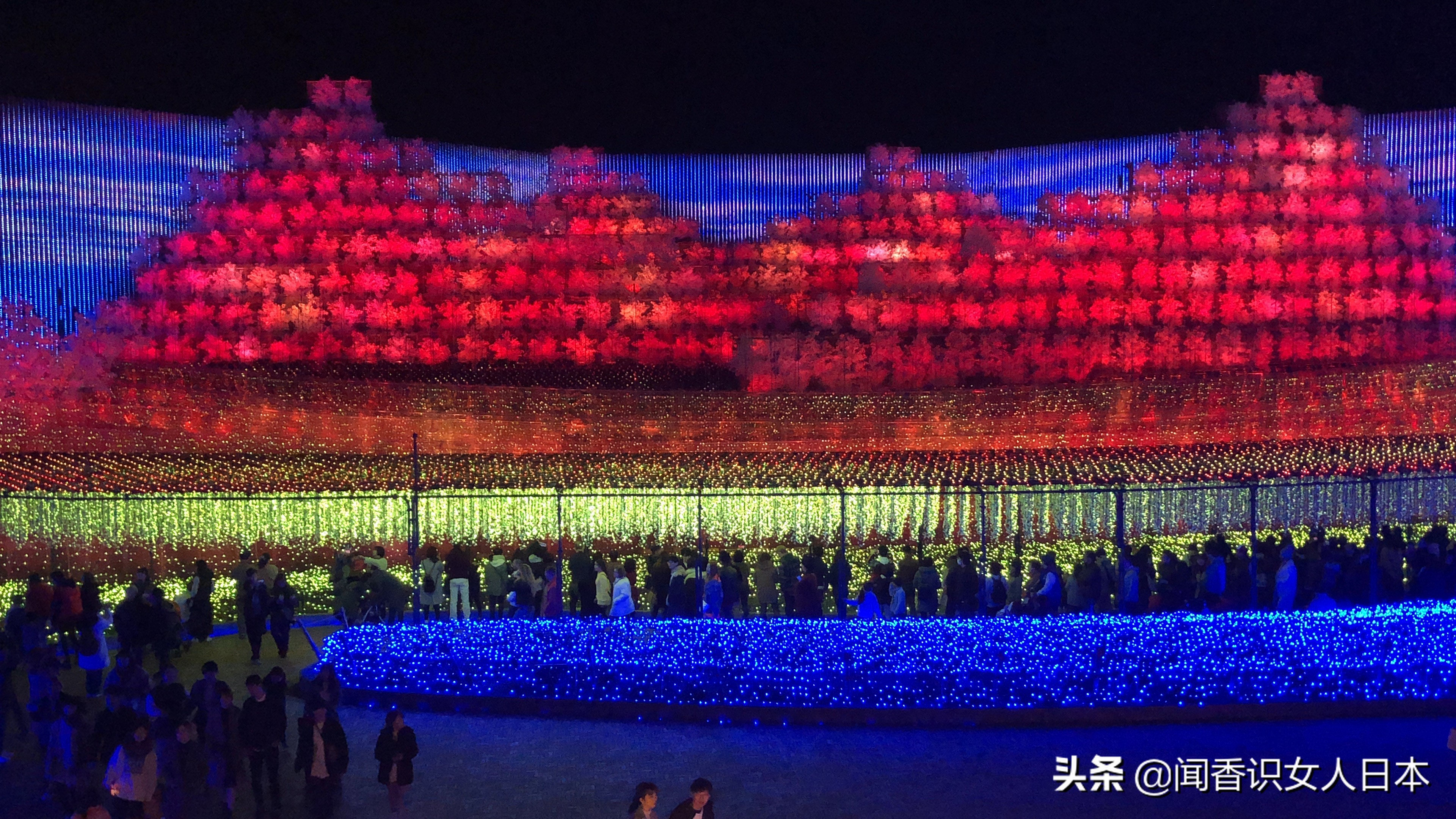 日本最美夜景,日本最美水上光影隧道