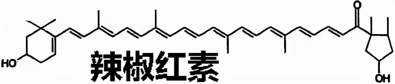 超级工业辣椒,工业辣椒完美收官