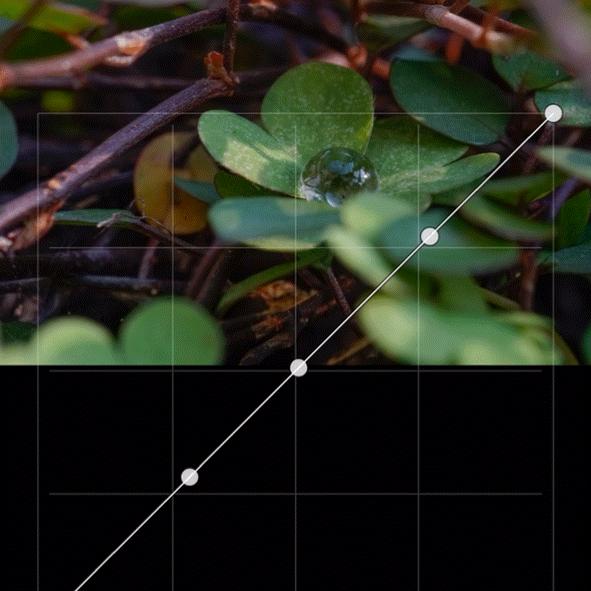 p图好用的手机app,苹果手机常用的app推荐