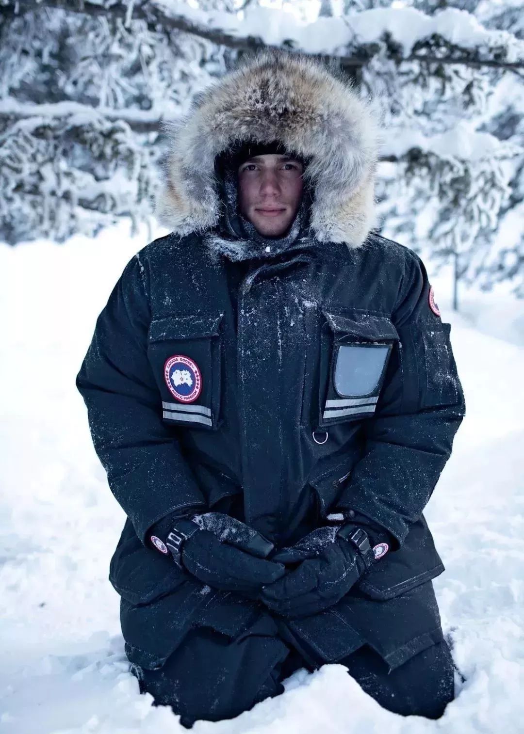 阿拉斯加极光几月份去合适,阿拉斯加3月旅游攻略