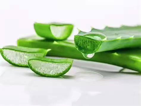 什么芦荟可以直接做面膜,芦荟的作用吃法大全集