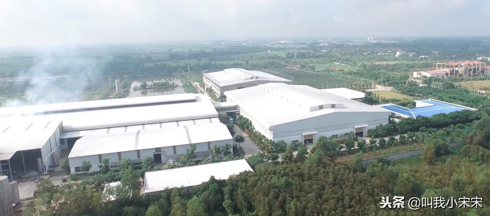 莲亚乳胶床垫官方旗舰店,越南的乳胶怎么样