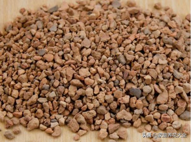 什么垃圾养花最好用又好看,垃圾桶种什么花最好