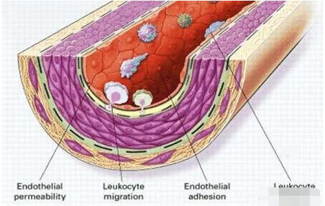 血脂高代谢异常怎么办,血脂代谢异常中医怎么调理好