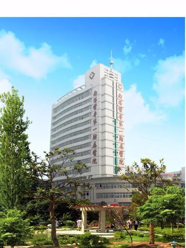 血液科可以治疗免疫力低下疾病吗,健康科普如何提高自身免疫力视频