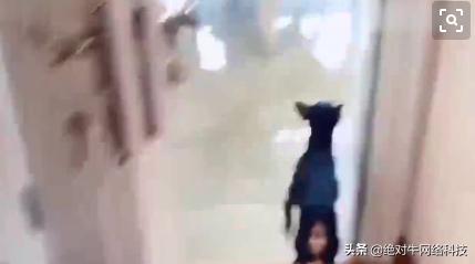 百度网站推广排名在哪里看,百度推广怎么提高百度外推排名