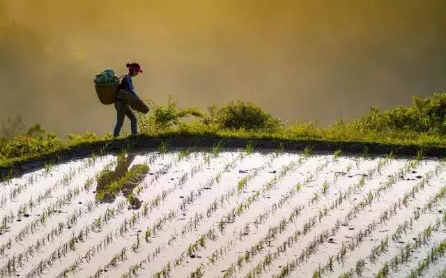 2022骞存仼鏂藉晢涓氶瓍鍔涙帓琛屾,榄呭姏鎵撳崱涔嬪煄鎭╂柦