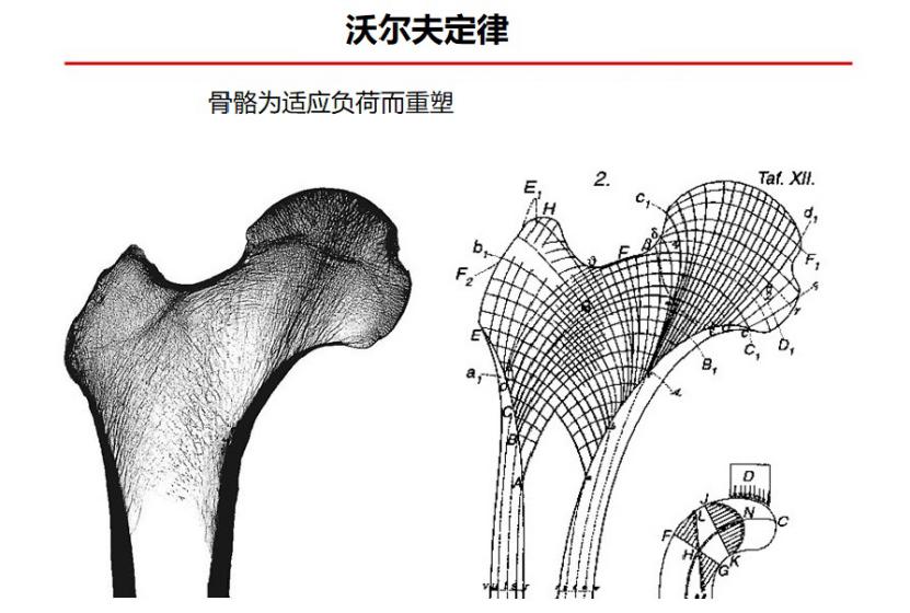 聊聊骨科疾病,聊聊骨科