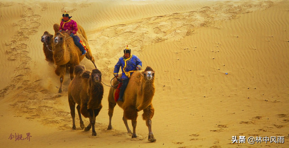通辽奈曼沙漠,奈曼旗沙漠风景视频