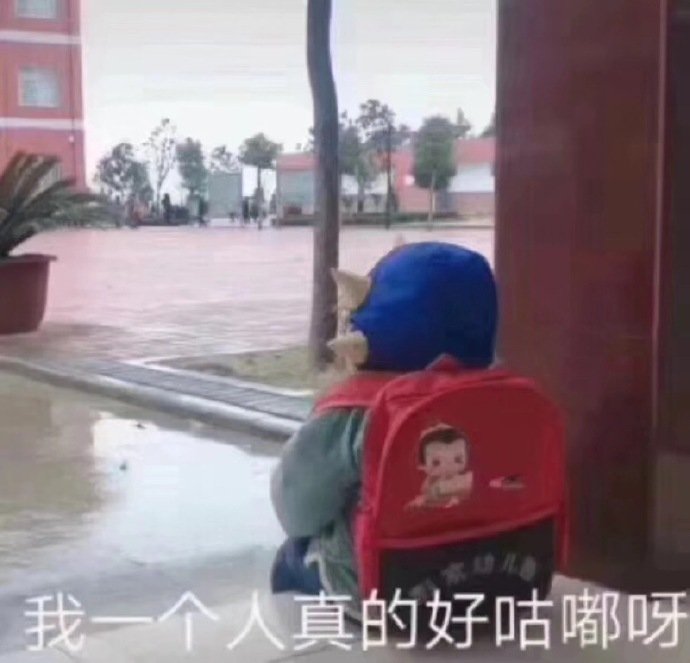 萌娃表情包我是最棒的,各种萌娃表情包教程