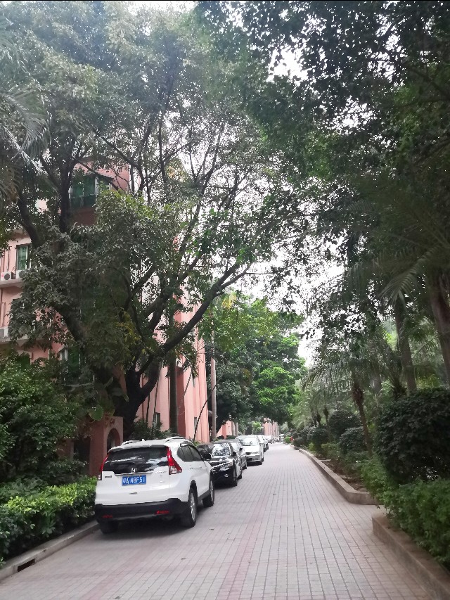 最新广州番禺大石地铁附近楼盘租房卖房价格，看完这个你就知道啦