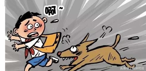 宠物被异物卡住脖子怎么办,宠物吃东西卡在喉咙里怎么办