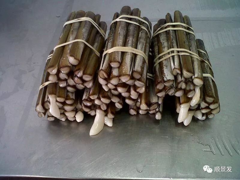 最好吃的海鲜都有哪些,顶级进口海鲜排行榜