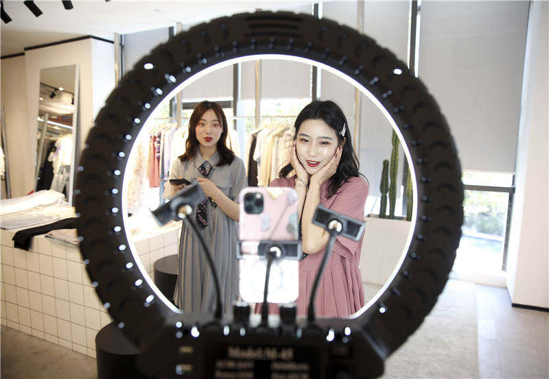 太平鸟和太平青年区别,太平鸟年轻人