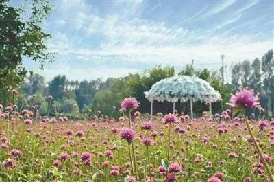 浪漫七夕沈阳世博园为情侣或夫妻们奉上文旅盛“惠”