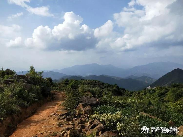 认识身边的中药材,认识中医寻找身边的中药