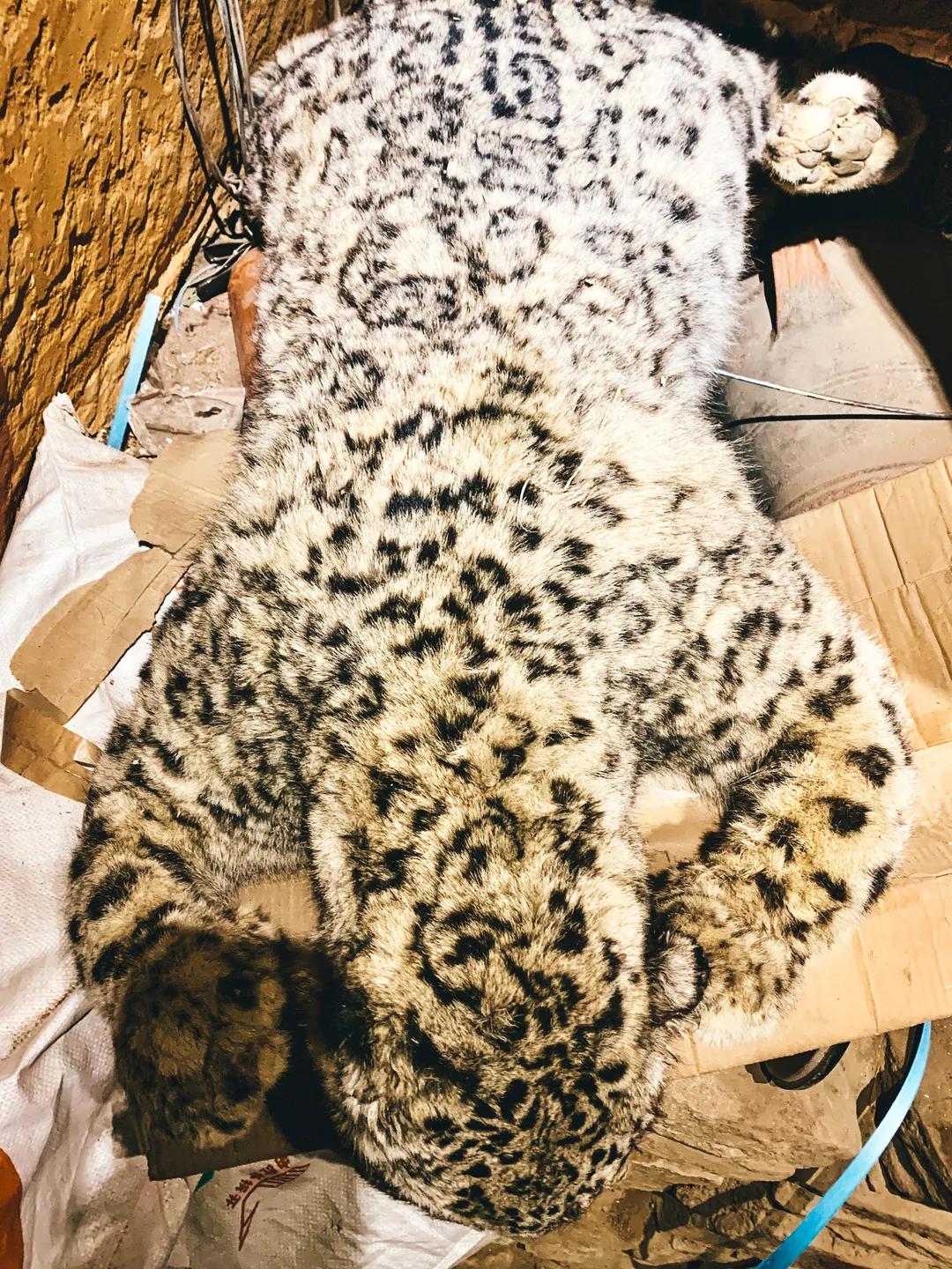 屋内天地|你看不懂的藏式朱甍