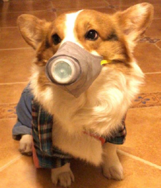 复工前的十大常识,企业复工口罩必备吗